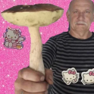 🍄