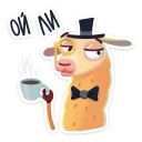 🍷