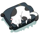 😴
