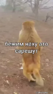 😰