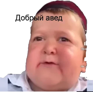 🍽