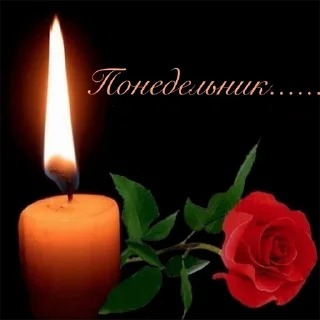 Неделька  @soundsfromthevagina
