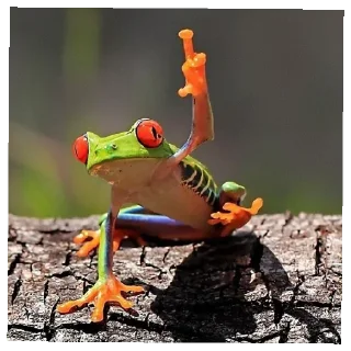 🖕