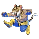 😼