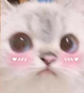 🥺