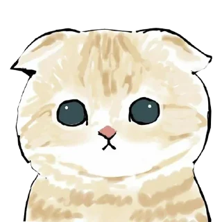 🐈