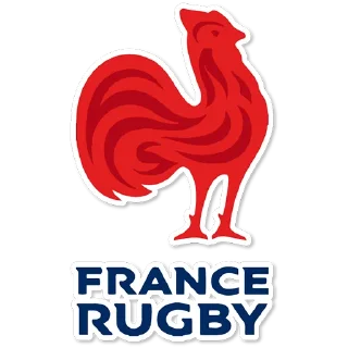 🇫🇷