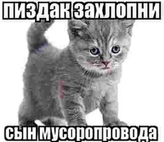 🤨