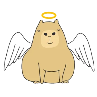 😇