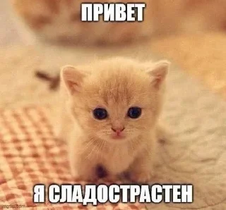 ✌