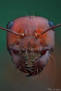 😕