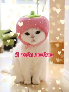 ❤️