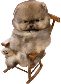🪑