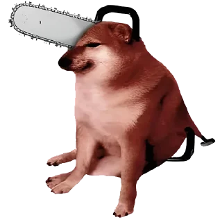🫥