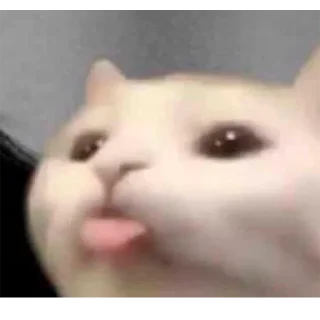 😛