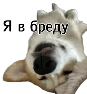 🤪