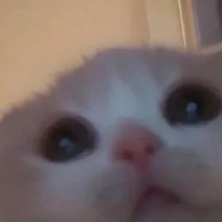 😳