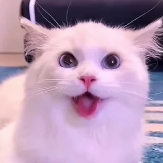 😃