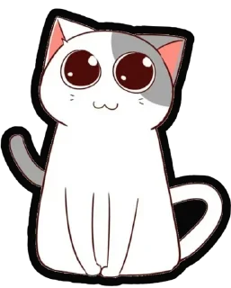 🐈