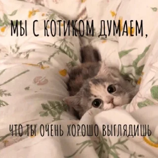 😍