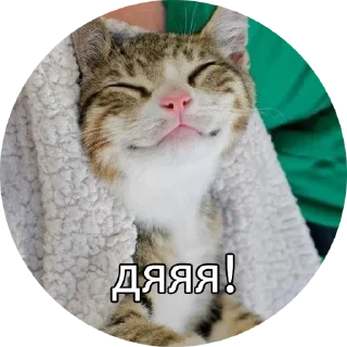 👌