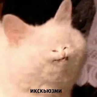 🤨