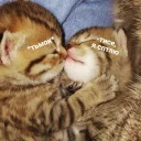 😘