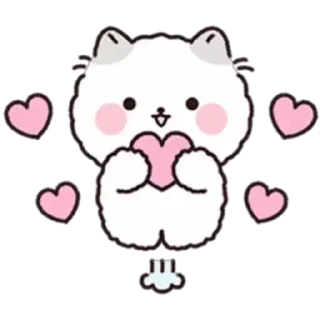 💞