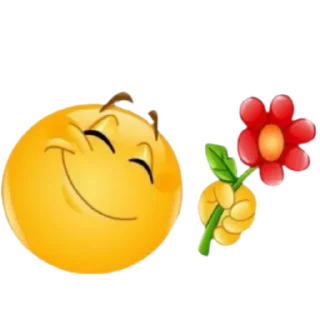 🌹