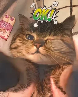 👌