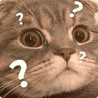 ❔