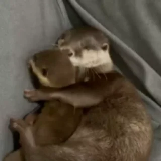 🤗