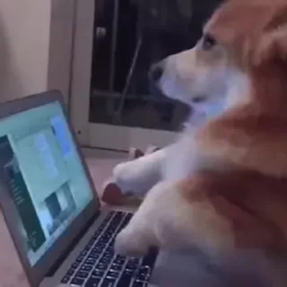 💻