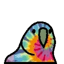 🦜