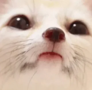 😶
