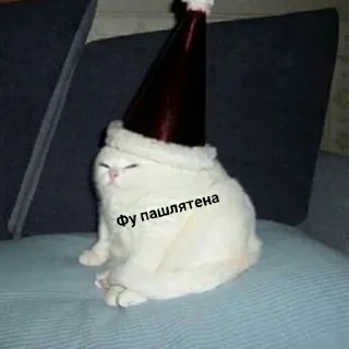 😑