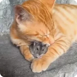 🤗