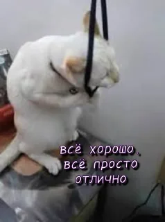 😥