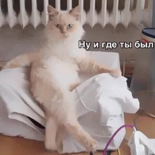 😈