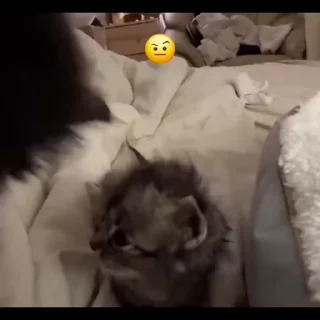 🤨
