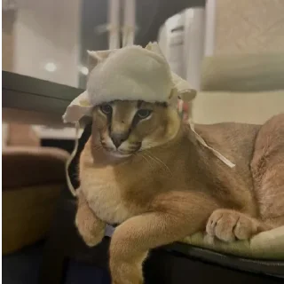 🥵