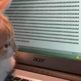 😡