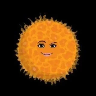 🌞
