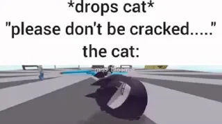 🤩