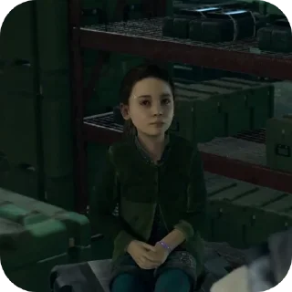 🦊