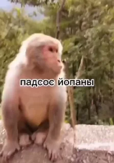 😒