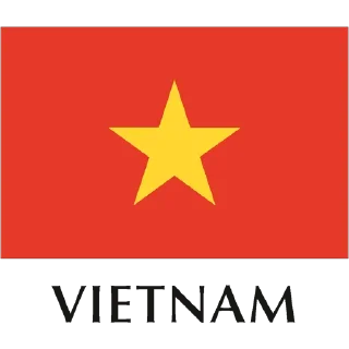 🇻🇳