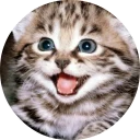 🐱