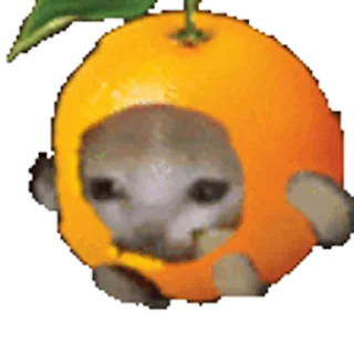 🍊