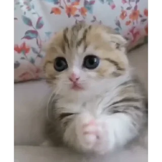 😖